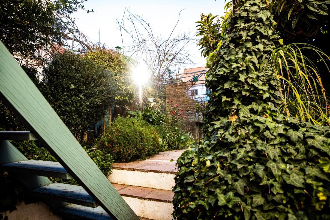 The Lemon Tree Apartment Вилафлор Екстериор снимка