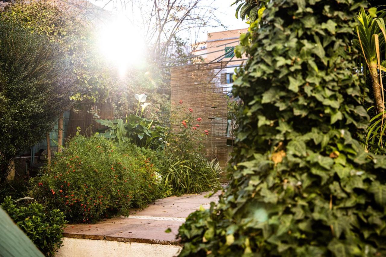 The Lemon Tree Apartment Вилафлор Екстериор снимка